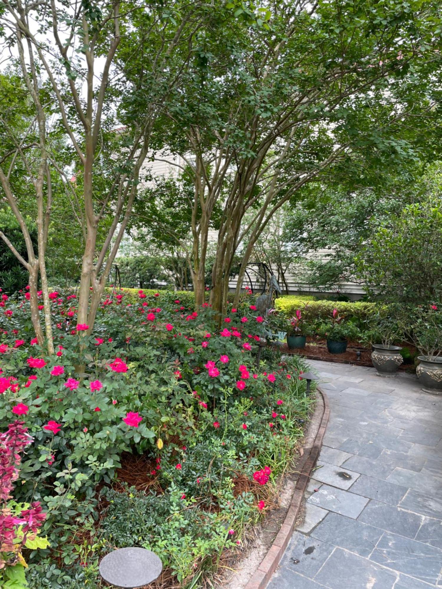 22 Charlotte Bed & Breakfast Charleston Exterior foto